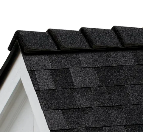 Onyx Black