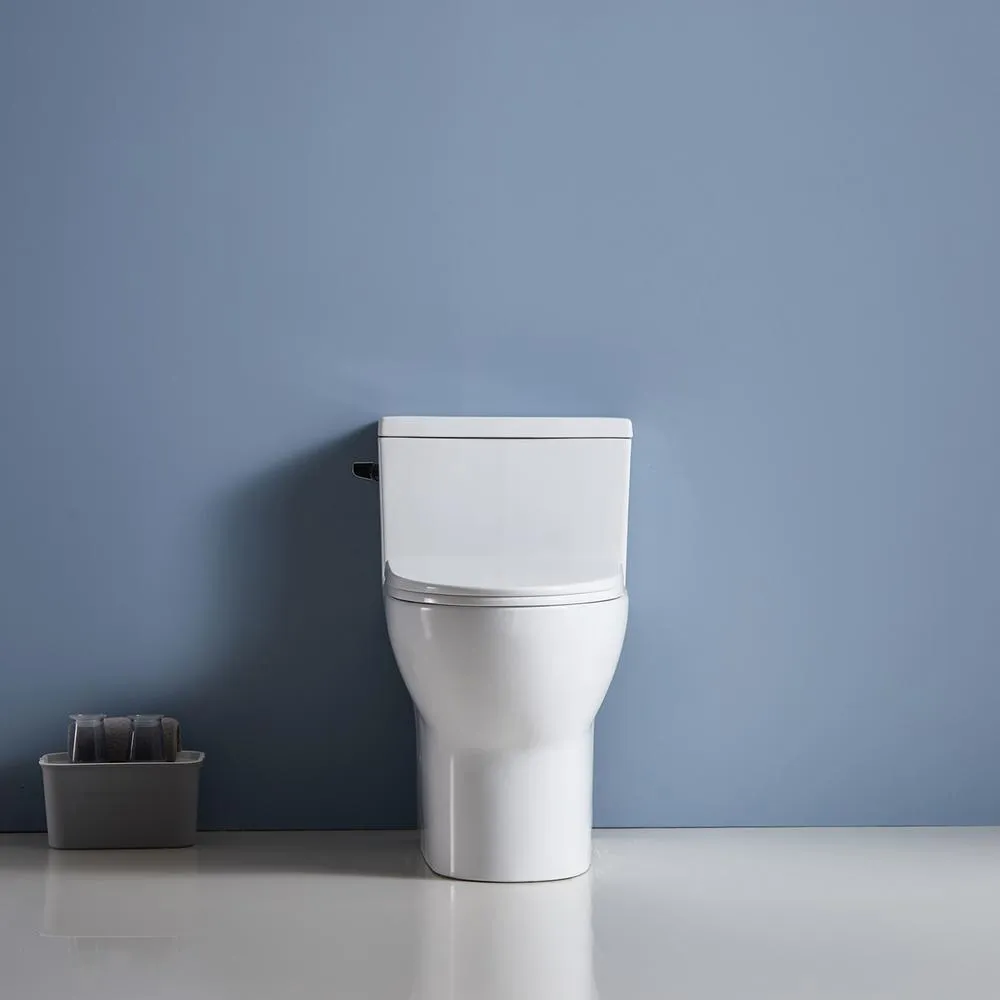 12 in. Rough-In 1-piece 1.28 GPF Single Flush Elongated Siphonic Jet Toilet in White, Seat Included, photo 8 of 8