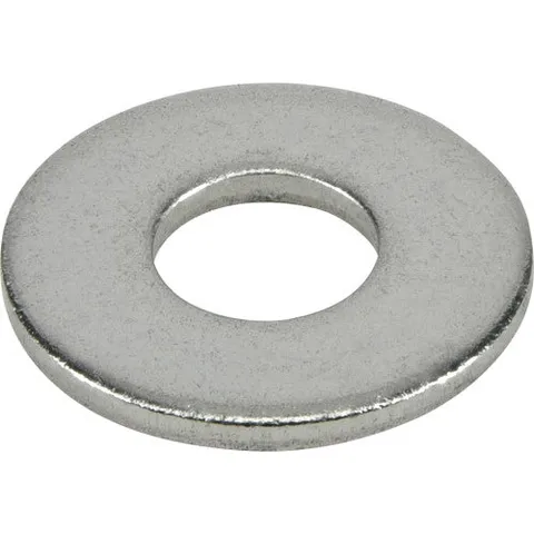 Stainless Steel 5/16-in Flat Washers (100-Pack)