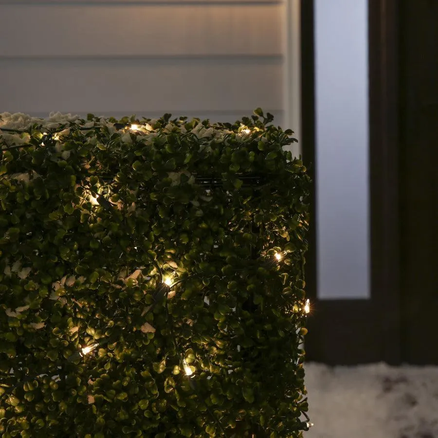 Holiday Living 4-ft x 6-ft Constant White Incandescent Mini Plug-In Christmas Net Lights, photo 3 of 4