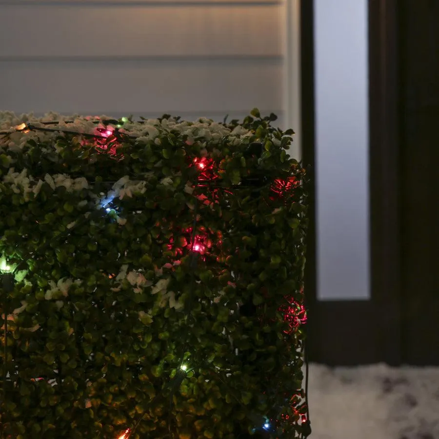 Holiday Living 4-ft x 6-ft Constant Multicolor Incandescent Mini Plug-In Christmas Net Lights, photo 2 of 3