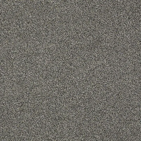 Schnauzer