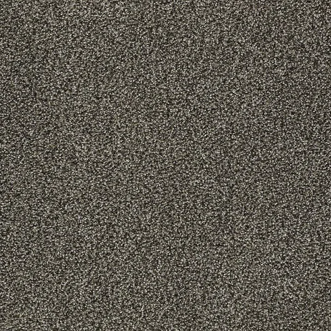 Doberman
