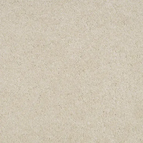Pug