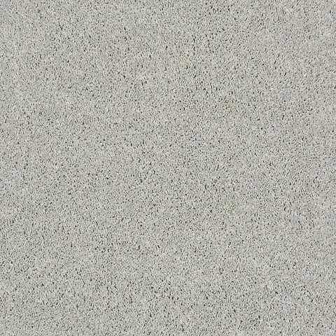 Gizmo
