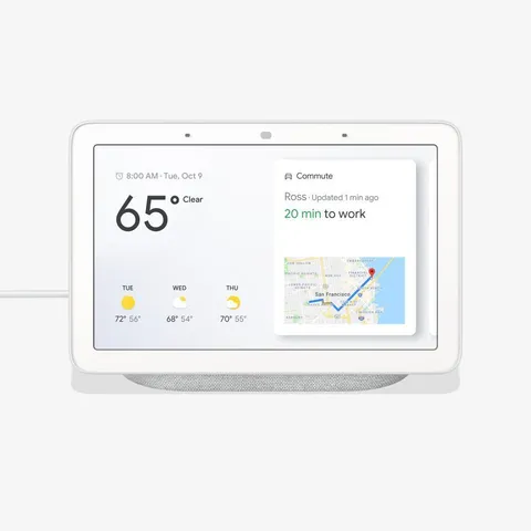Nest Hub Chalk