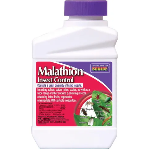 Malathion Liquid Concentrate Insect Killer, 16 oz