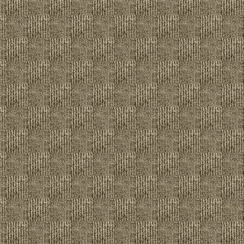 Desert Sand