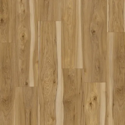 Lawrenceville hickory