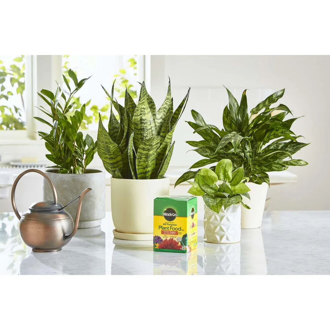 Miracle-Gro Powder Plant Food 1.5 lb, photo 7 of 8