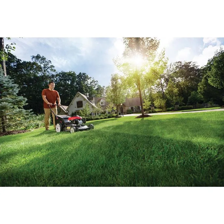 Troy-Bilt XP 21 in. 160 cc Honda Gas Walk Behind Push Mower with High Rear Wheels and 3-in-1 Cutting TriAction Cutting System, photo 3 of 7