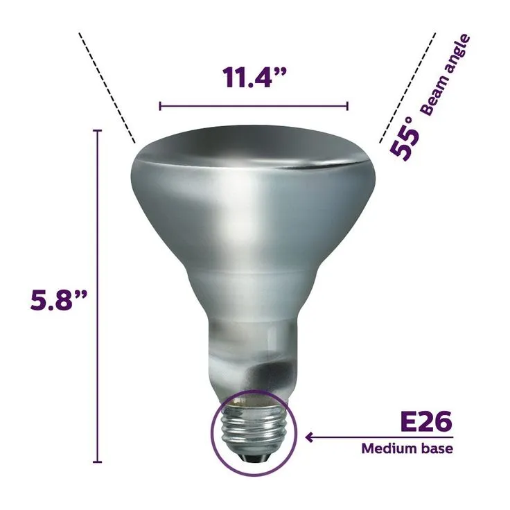 Philips 65-Watt Incandescent BR30 Flood Light Bulb Soft White (2700K) (12-Pack), photo 4 of 5