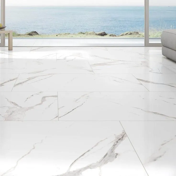 MSI Ader Tegal 24 in. x 48 in. Polished Porcelain Floor and Wall Tile (16 sq. ft./Case), photo 9 of 9