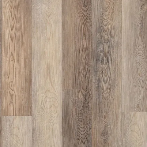Catskill Pine