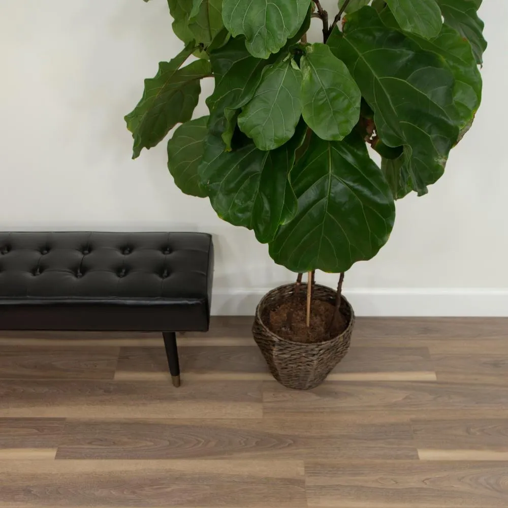 CALI Vinyl Mute Step Palm Grove Oak 6.5-mm x 7-in W x 48-in L Water Resistant Luxury Vinyl Plank Flooring (24.03-sq ft/case), photo 4 of 6