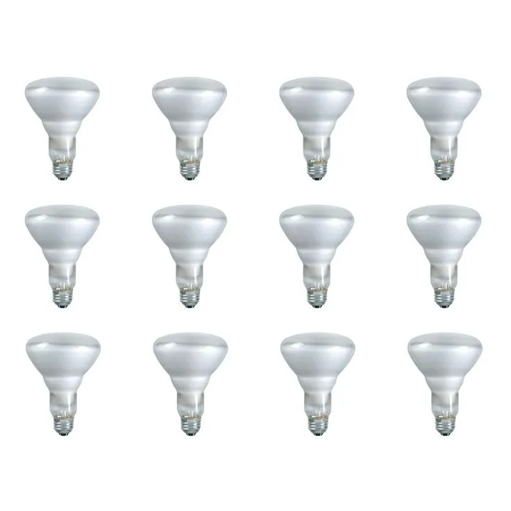 Philips 65-Watt BR30 Incandescent DuraMax Dimmable Flood Light Bulb (3-Pack), photo 4 of 7