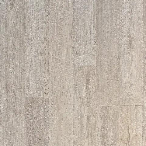 Calabash oak