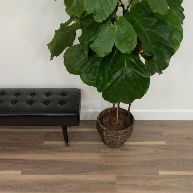 CALI vinyl mute step Palm Grove Oak 6.5-mm x 7-in W x 48-in L Water Resistant Luxury Vinyl Plank Flooring (24.03-sq ft/case), photo 4 of 6