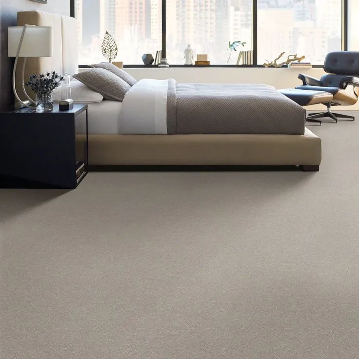 STAINMASTER Essentials Blue Diamonds III 15-ft Greige Textured Carpet (Indoor), photo 5 of 8