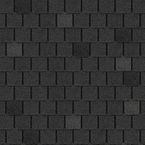 Canterbury Black