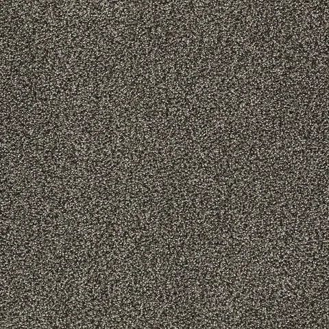 Doberman