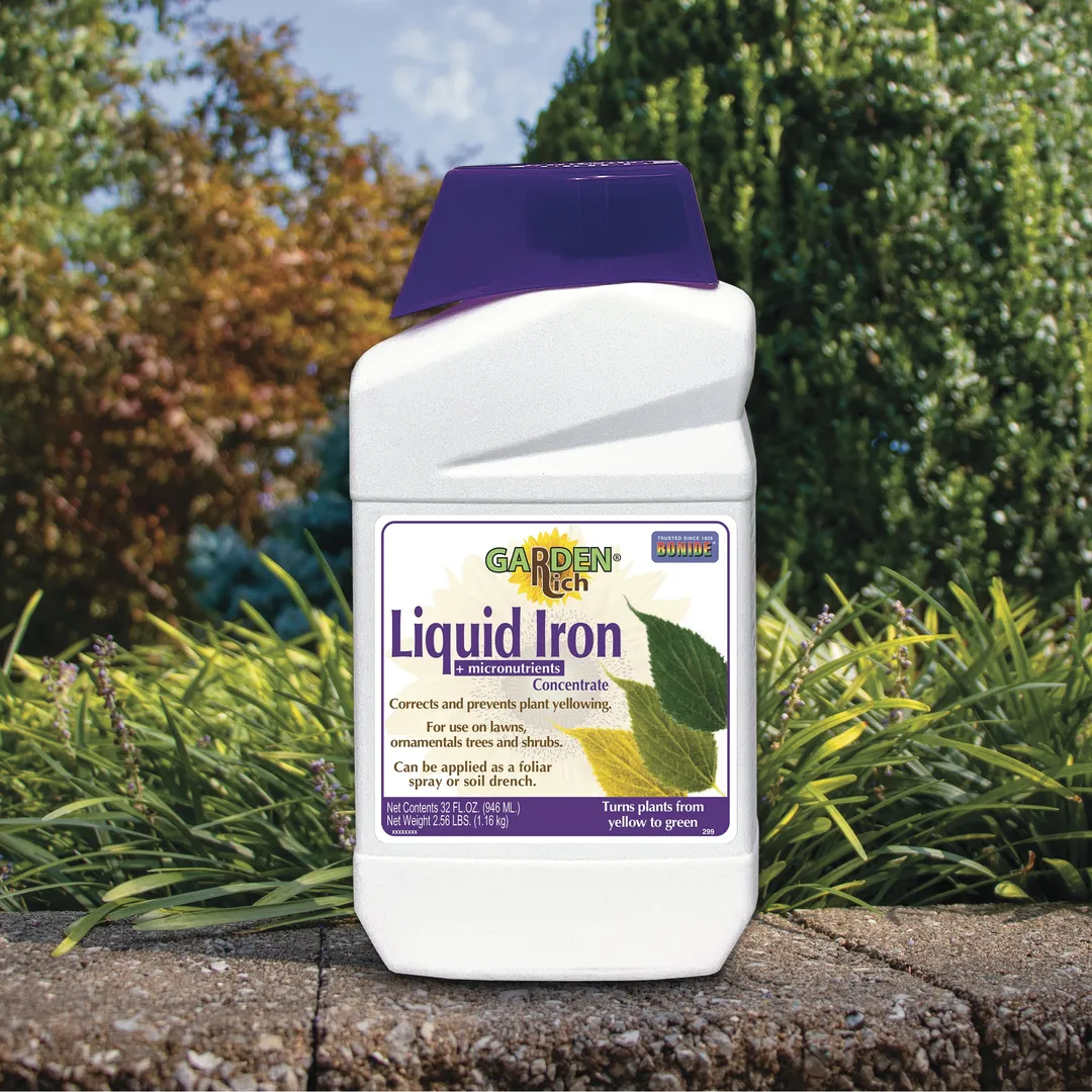 Bonide Garden Rich Liquid Iron Concentrate Plant Food, 32 oz, in a room, photo 3 of 5