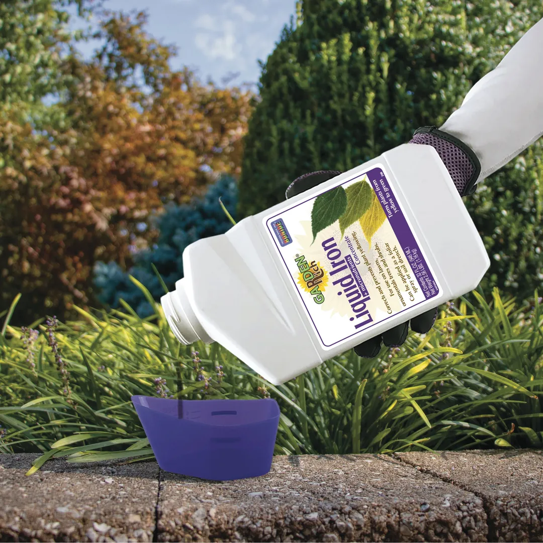 Bonide Garden Rich Liquid Iron Concentrate Plant Food, 32 oz, in a room, photo 4 of 5