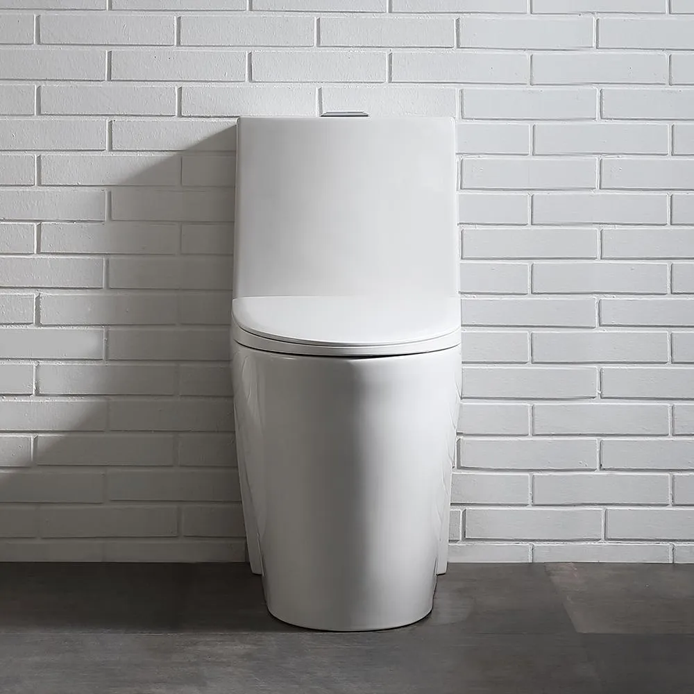 Buxton 1-Piece 1.6 GPF/1.1 GPF Dual Flush Elongated Toilet in White, photo 10 of 11