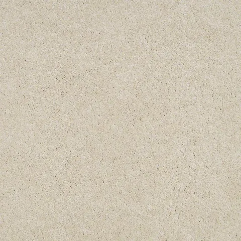 Pug