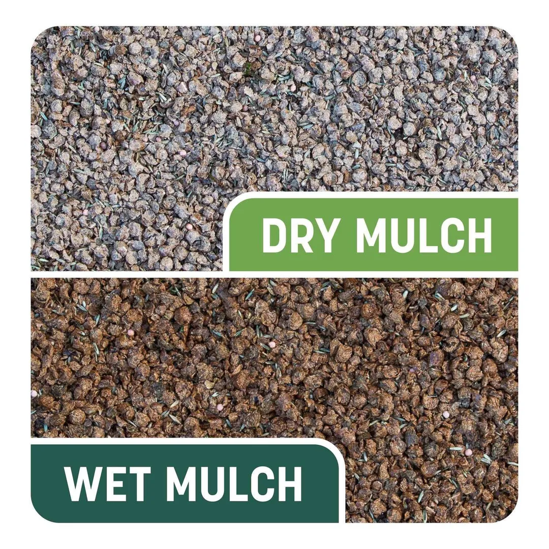 Pennington Smart Patch Tall Fescue Grass Sun or Shade Seed/Fertilizer/Mulch Repair Kit 10 lb, photo 6 of 10
