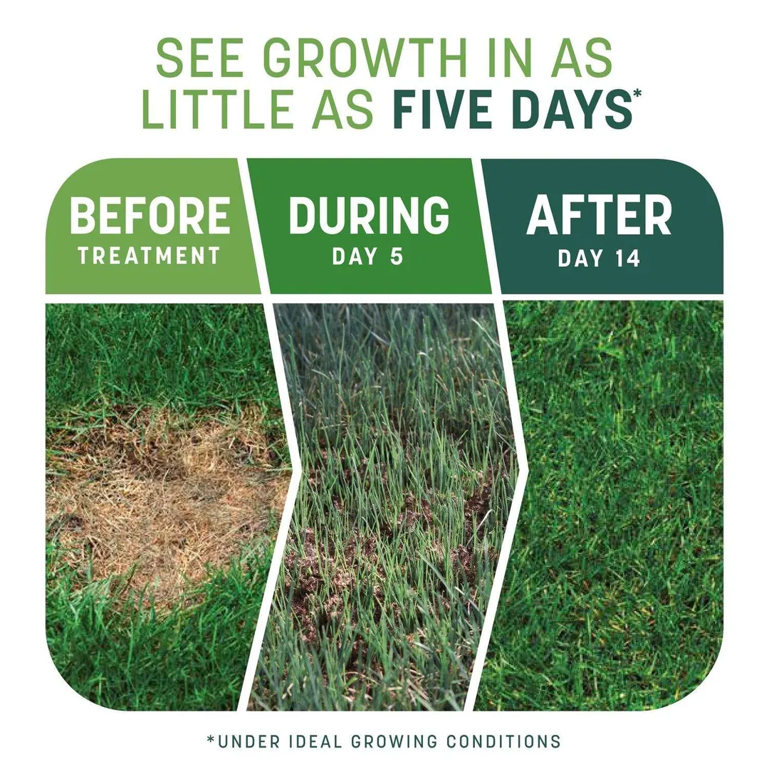 Pennington Smart Patch Tall Fescue Grass Sun or Shade Seed/Fertilizer/Mulch Repair Kit 10 lb, photo 4 of 10