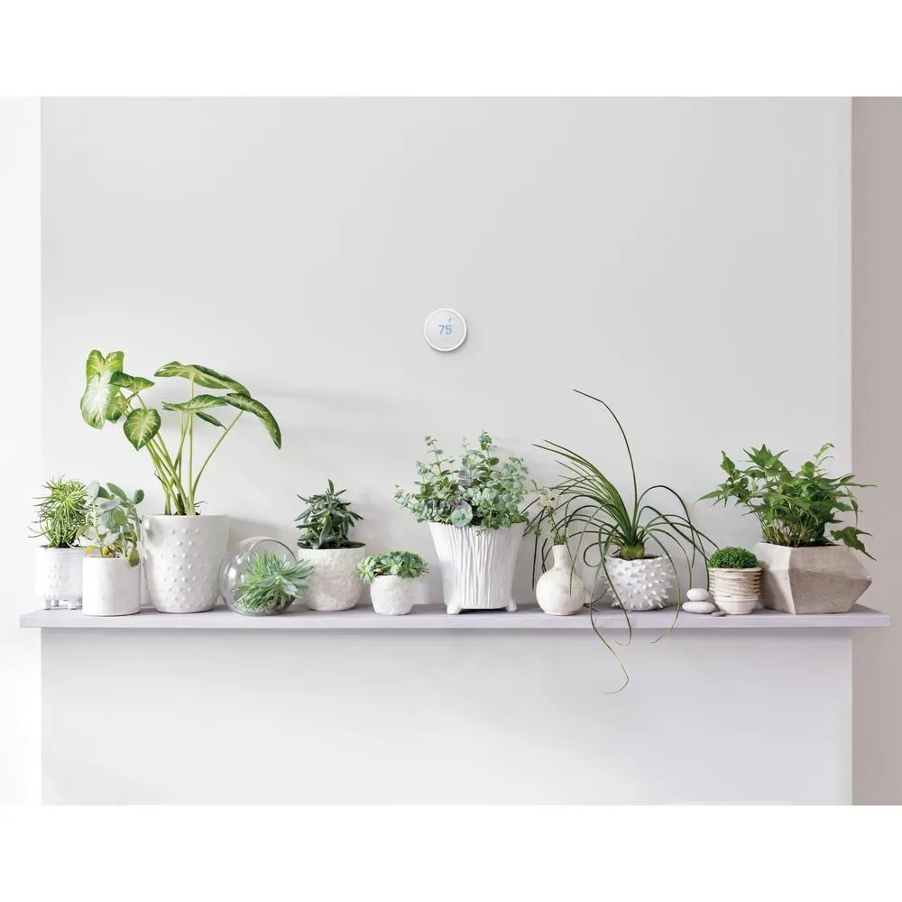 Nest 10-Day Digital Programmable Thermostat E with Nest Temperature Sensor (2-Pack), photo 5 of 7