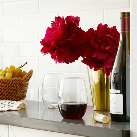16 oz. Medium Bodied ABS Plastic Red Wine Glass (Set of 4)