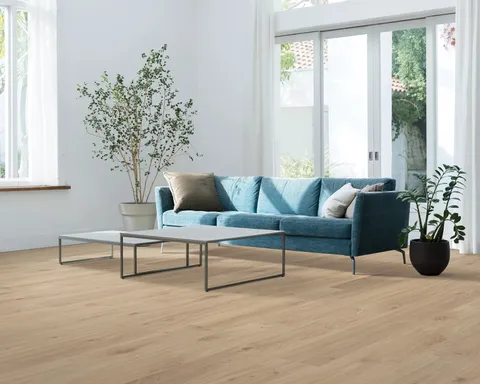 Concord Maple