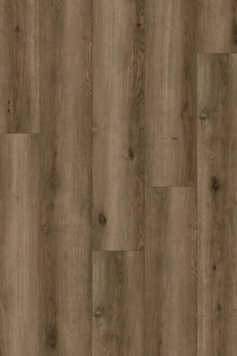 Warm Honey Oak