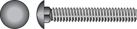 Stainless Steel 5/16 × 2 in Carriage Bolts (50-Pack)