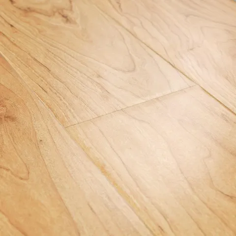 Northern Blonde Maple