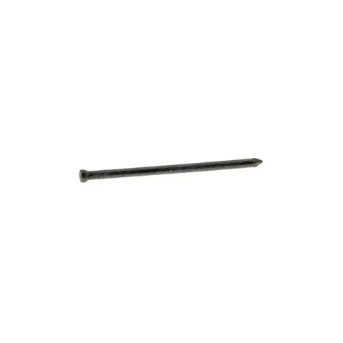 6D 2 in. Hot-Dipped Galvanized Finishing Nails, 6 oz