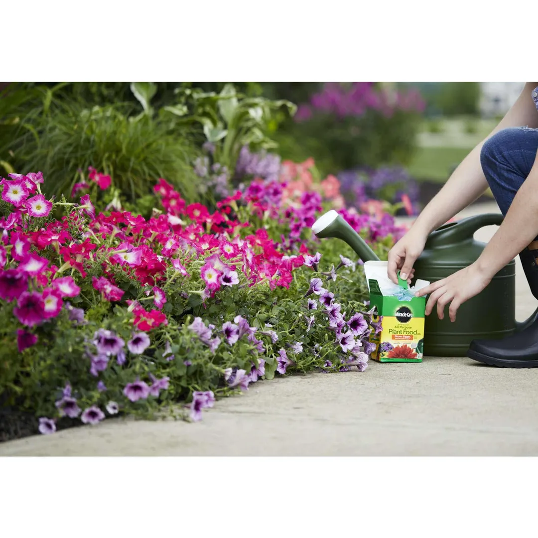 Miracle-Gro Powder Plant Food 1.5 lb, photo 6 of 8