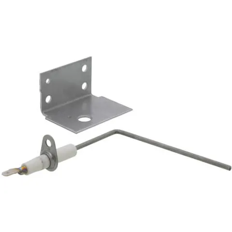 40L81 Flame Sensor Kit