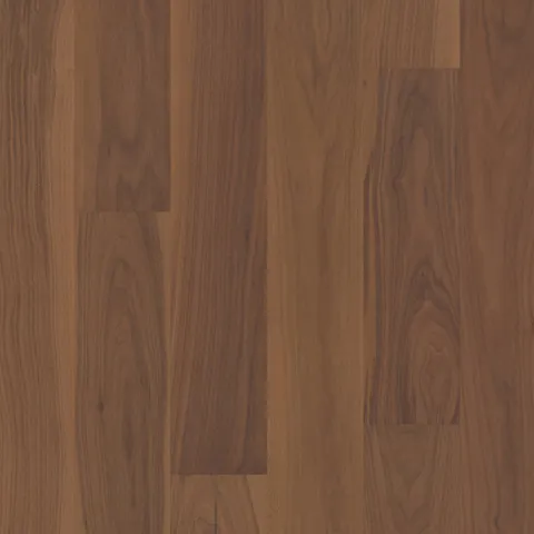 Caribou