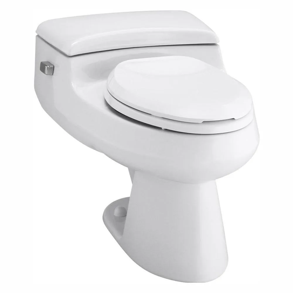 San Raphael Comfort Height 1-Piece 1 GPF Single Flush Elongated Toilet in Ice Grey, Seat Included, photo 7 of 10