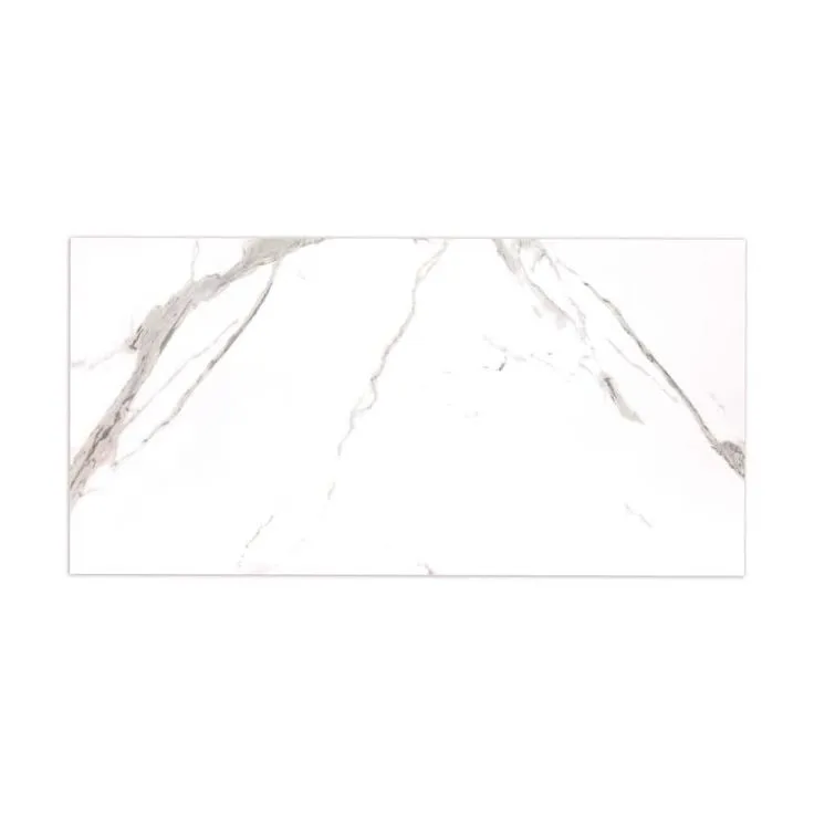 MSI Ader Tegal 24 in. x 48 in. Polished Porcelain Floor and Wall Tile (16 sq. ft./Case), photo 3 of 9