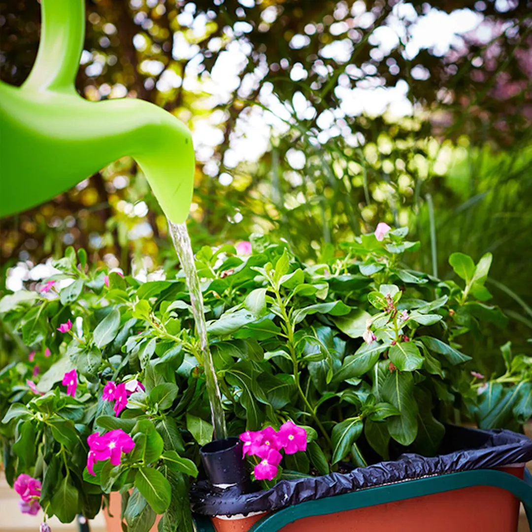 EarthBOX 11 in. H X 13.5 in. W X 29 in. L Garden Kit 1 pk, photo 4 of 6