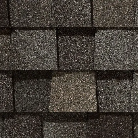 Mountain Timber