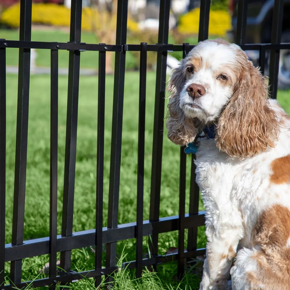 Freedom Standard 35-in Black Metal Puppy Picket Add-on Kit For Metal Fence, photo 5 of 7
