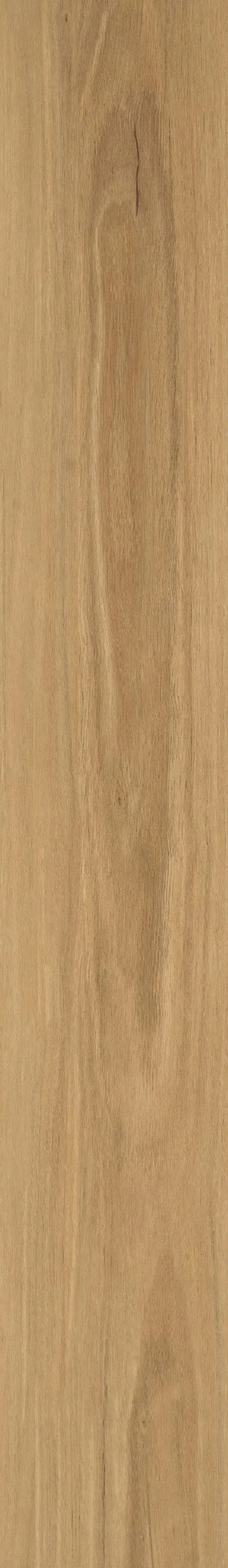 Shaw Brillance Plus Basil Brown 12-mil x 7-in W x 48-in L Waterproof Interlocking Luxury Vinyl Plank Flooring (23.64-sq ft/ Carton), photo 5 of 7
