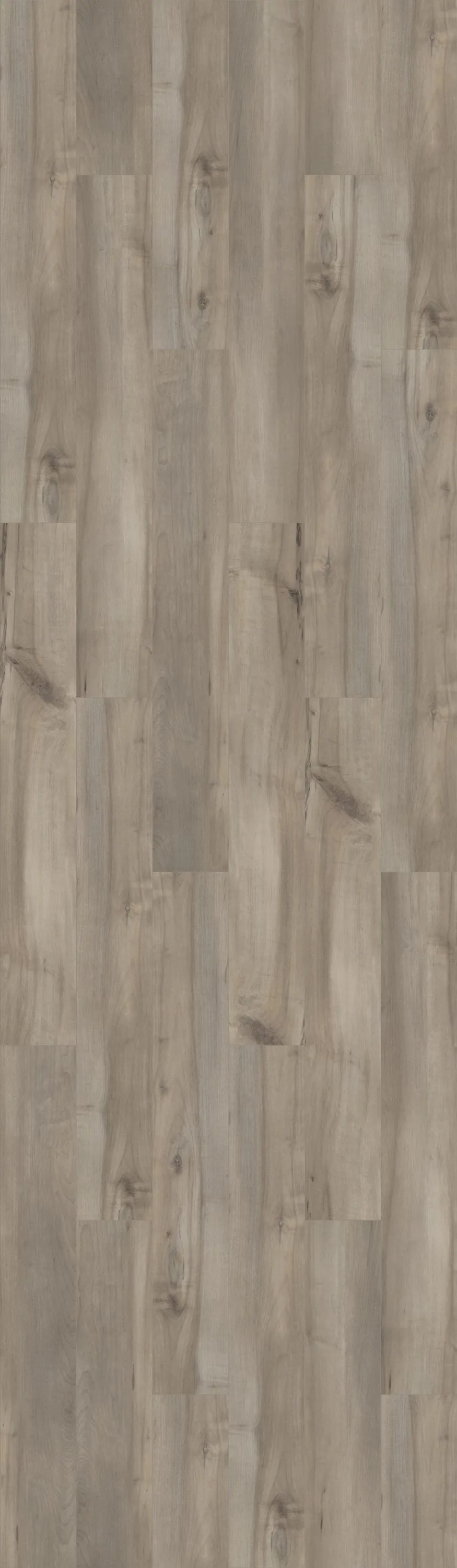 Shaw Tundra Plus Spyglass 7-in Wide x 5-mm Thick Waterproof Luxury Vinyl Plank Flooring (18.91-sq ft), photo 4 of 8
