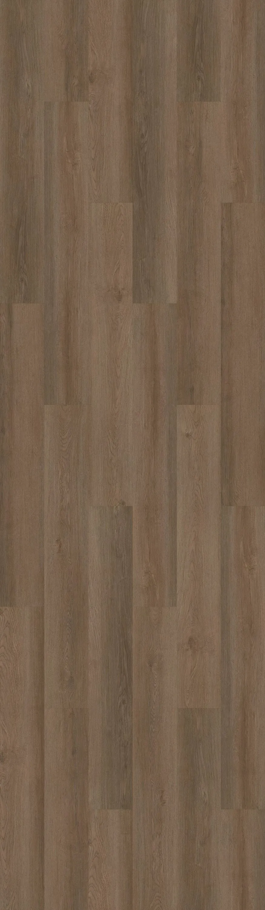 Shaw Boundless 8 Live Sienna Brown 8-mil x 7-in W x 48-in L Waterproof Glue Down Luxury Vinyl Plank Flooring (34.98-sq ft/ Carton), photo 8 of 8