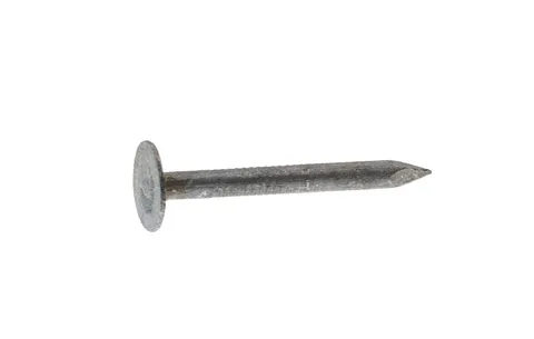 2-1/2 in. Electro-Galvanized Roofing Nails (5 lb)